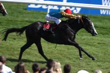 Baden Racing: Narella triumphiert im 144.Steinhoff Zukunftsrennen