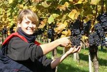 Herbst 2011 in Baden abgeschlossen