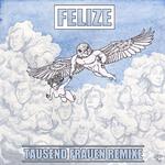 "FELIZE" - Elektronische Popmusik mit Niveau