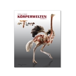 Ausstellungskatalog der KÖRPERWELTEN der Tiere ist da!