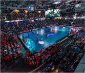 Handball: HC Erlangen hat mit dem THW Kiel die Weltklasse zu Gast