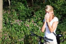 Viren machen keine Sommerpause