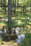 OBEL AWARD 2019: Water Garden