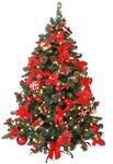 Naturnahe Weihnachtsbäume individuell geschmückt