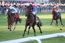 Bayern-Gala von Star-Galopper Ivanhowe