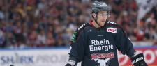 2:4 gegen Mannheim - Haie verlieren Spiel und Tabellenplatz