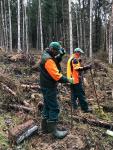 Laubbaumpflanzungen in sieben Gemeinden des Biosphärenreservats