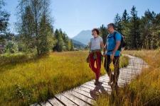 Wanderbare Wege durch Pfronten
