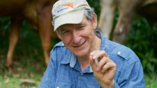 Meilenstein: World Vision und Ecosia kooperieren