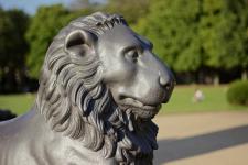 In der Touristinfo sind die Raubkatzen los