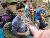 Schüler-Akademie Hauptstadtzoos: Bewerbung für neues Semester gestartet