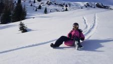 Mit dem Zipfelbob über die Alpen