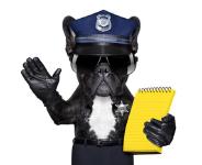Nur Polizei ist Polizei!