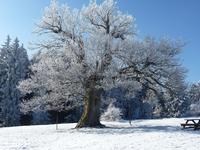 Natur-Erlebniszentrum HohneHof lädt zu Winterspaß in den Ferien