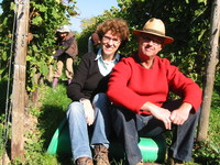 Neues vom Wein 2008