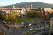 CHE-Ranking Mai 2007: Uni Freiburg wieder in Spitzenpositionen