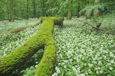 Kultur liebt Natur in der Mitte Deutschlands