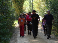 NordicWalking am Murtensee - für Körper und Geist