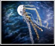 Medusen, die fabelhafte Welt aus Form und Farbe