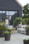 Neue Klassiker für Garten, Balkon und Terrasse