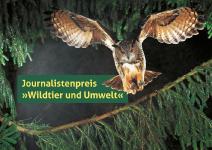 Wilde Geschichten gesucht!