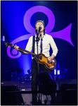 PAUL McCARTNEY - One on One