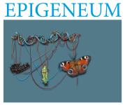 Erbgut und Umwelt - wie die Epigenetik unser Leben beeinflusst