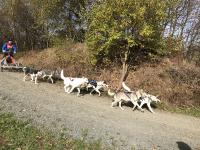 Der mit dem Musher fachsimpelt – Jetzt Oberharz-Special „Musherabend“ buchen