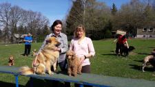 8. Internationale Rassehunde-Ausstellung in der Messe Chemnitz