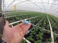 "Disrupt Agriculture" ist das Motto des ersten Start-up Days der FRUIT LOGISTICA