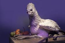 Feathers-and-Flight-Wochen bei der Warner Bros. Studio Tour London