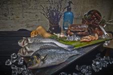 Transgourmet Seafood ausgezeichnet für "Herausragendes Engagement für Nachhaltigkeit"
