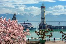 Der Bodensee blüht auf!