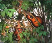 Ab 16. Juni und der ganze Sommer lang: MUSIK OPEN AIR IM FABRIK GARTEN