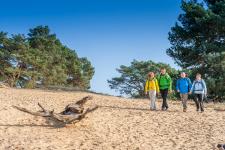 Die Wanderschuhe schnüren: Am 14. Mai ist der bundesweite Tag des Wanderns