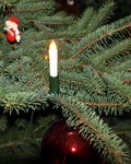 So bleibt der Weihnachtsbaum lange frisch