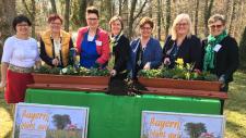 Bienen - Blumen - Leckerbissen: Landfrauen lassen Bayern aufblühen