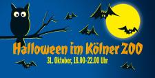Perfekter Spaß für die ganze Familie: Die große Halloween-Nacht im Kölner Zoo