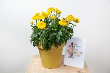 "IPM Neuheiten 2019" ausgezeichnet