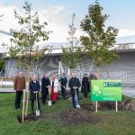 Münchner Flughafen lässt Waldflächen zum "Klimawald" umgestalten