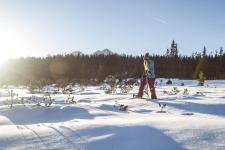 Gehen und Träumen im Schnee