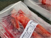 Montag, 1. Oktober ist Weltvegetariertag / VEBU und Tierrecht-aktiv präsentieren „abgepacktes Menschenfleisch“ in Hannovers City