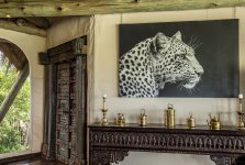 Great Plains lanciert Art for Conservation