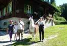 Waldheimathof ALPL-SPA & Sports: Schauspieler Christian Spatzek auf Lama-Trekking Tour