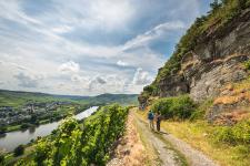 Natur erkunden: Neue Wanderhighlights in Rheinland-Pfalz
