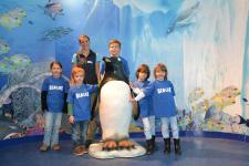 Das SEA LIFE Konstanz sucht wieder „Junge Umweltschützer“!