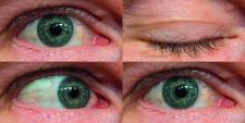 "Das hab ich doch schon mal gesehen": Nervenzellen im Auge signalisieren die Wiederkehr eines Bildes