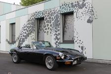 Zweite Kölner Zoo-Oldtimer Rally