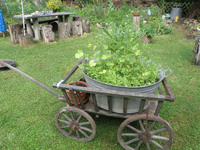 Garten öffne dich