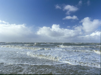 Gesundheit aus dem Meer